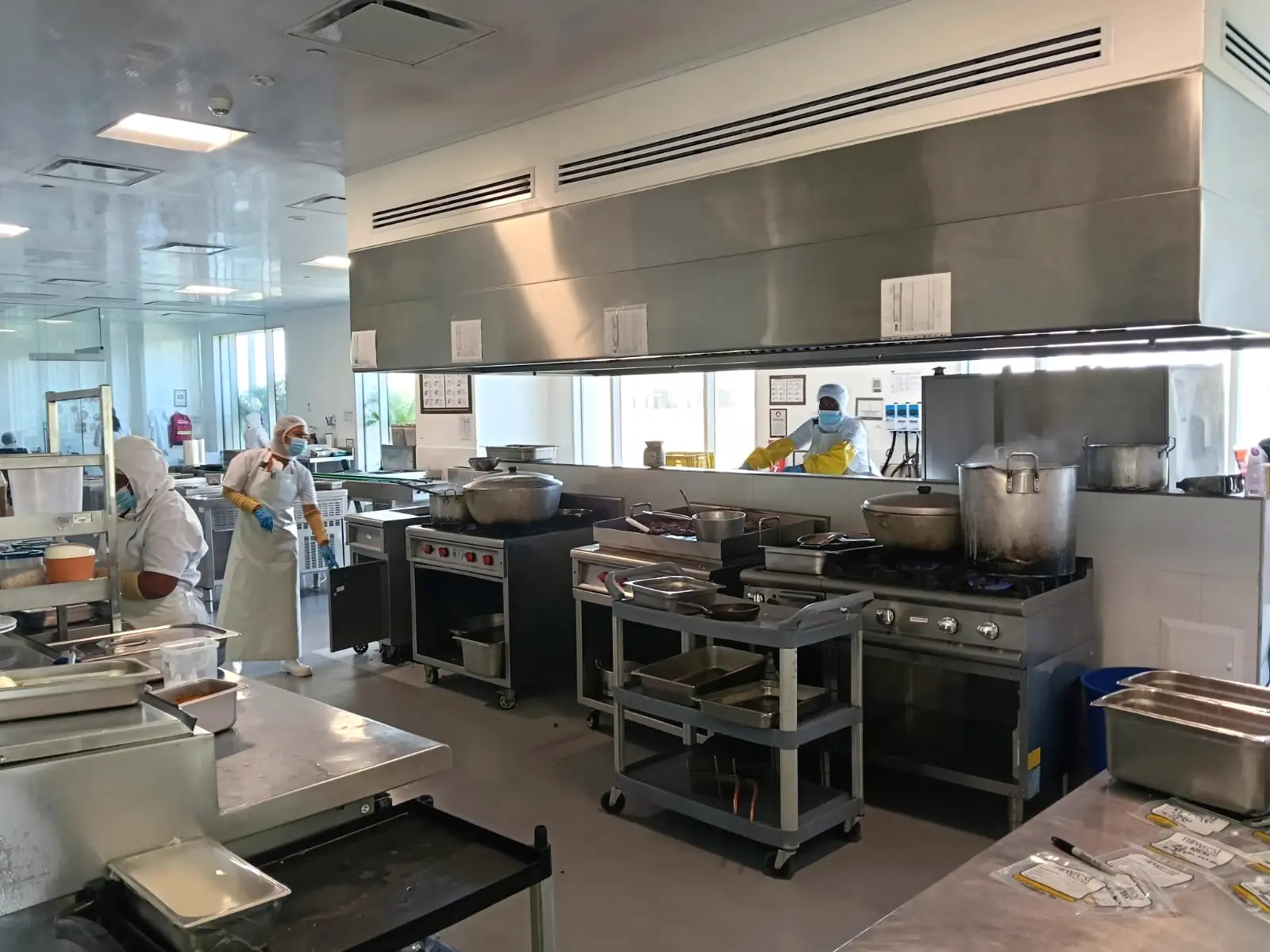 Vista general de una de las cocinas de producción, con zonas separadas de cocción y alistamiento.